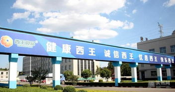 西王食品获评国家绿色工厂，加速推进全域旅游新布局